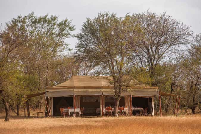 Ndutu Under Canvas