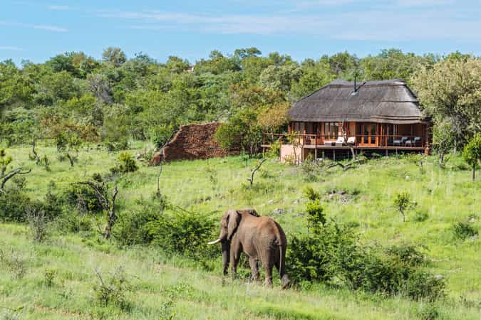 Royal Madikwe