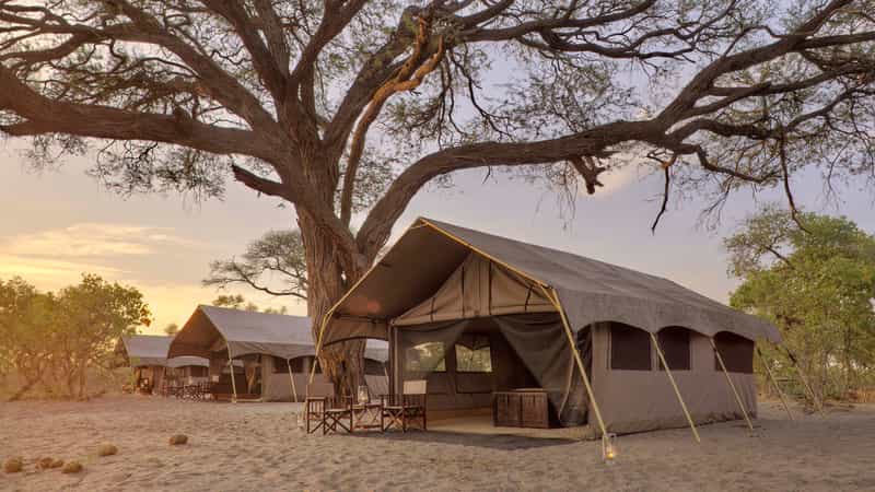 Savute Under Canvas