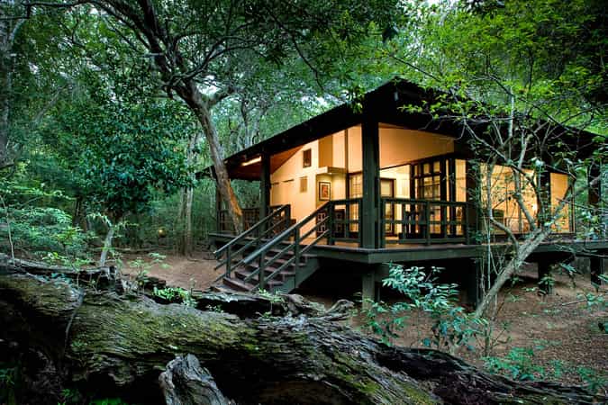 Phinda Forest