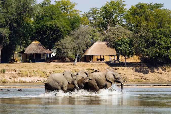 Nsefu Camp