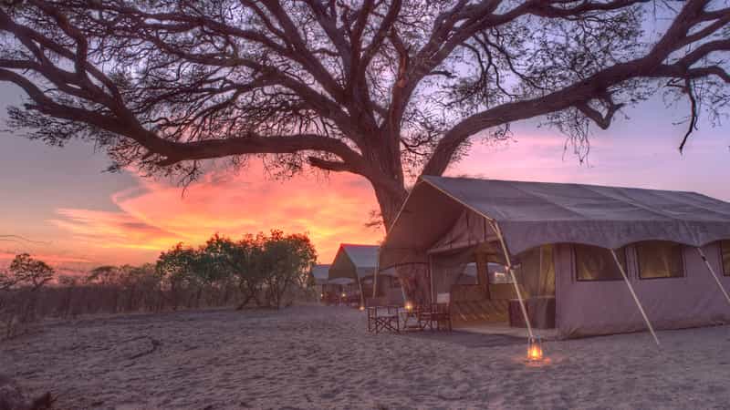 Chobe Under Canvas