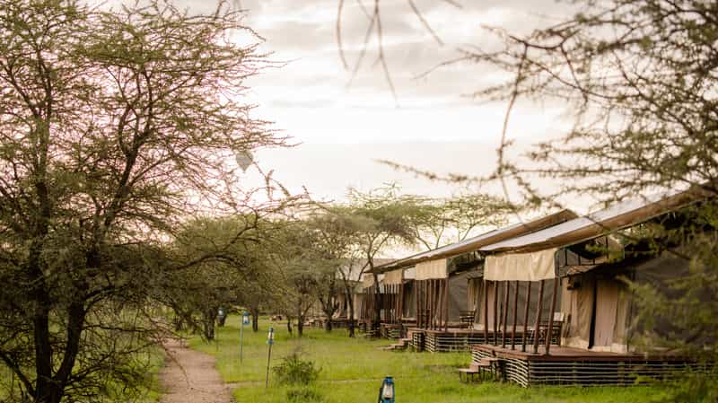 Ang'ata Serengeti