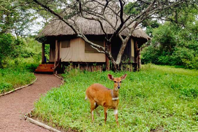 Ndarakwai Camp