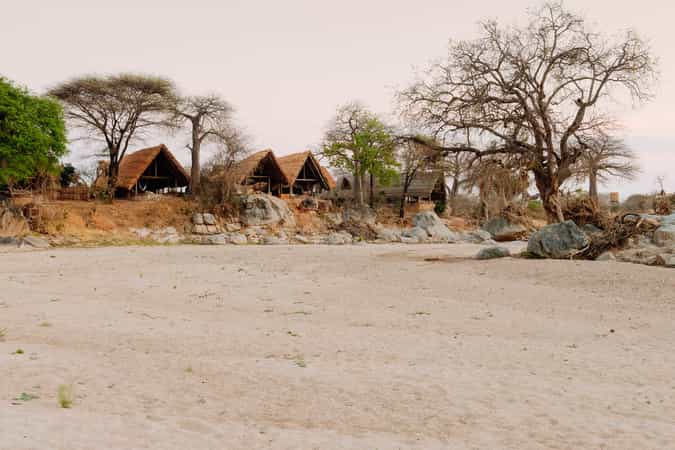 Mwagusi Safari Camp