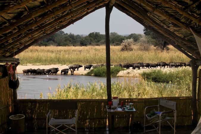 Buffalo Camp