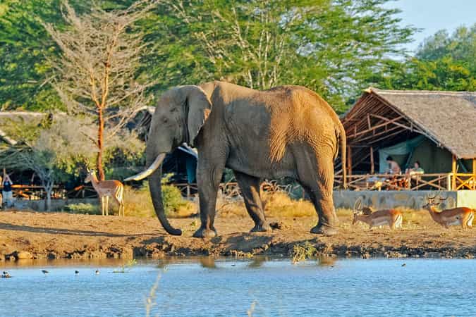 Satao Tented Camp