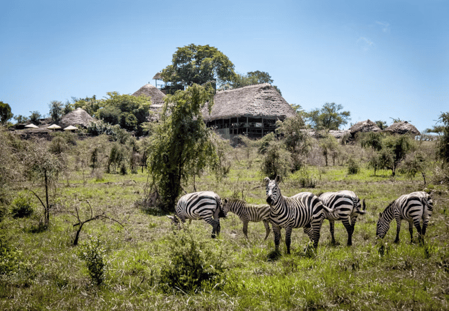 Apoka Safari Lodge