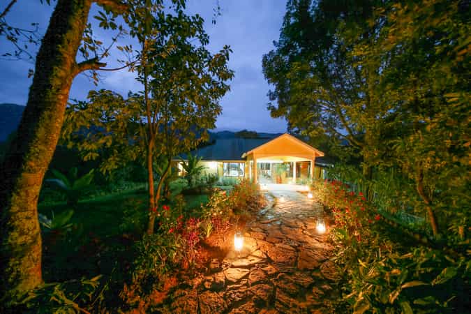 Gorilla Safari Lodge