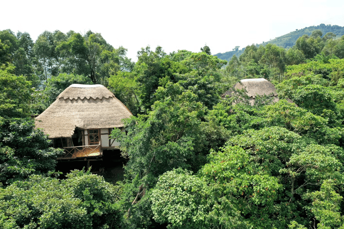 Papaya Lake Lodge