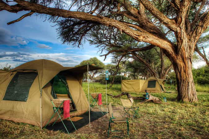 Safari Life Mobile