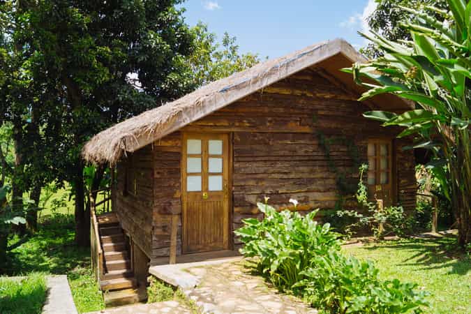 Rwenzori View