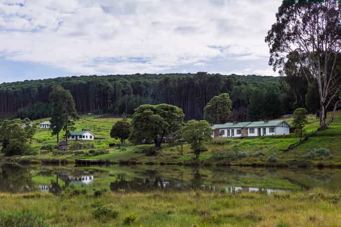 Chelinda Camp