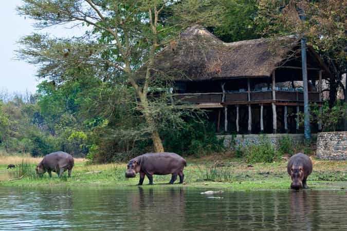 Mvuu Lodge 