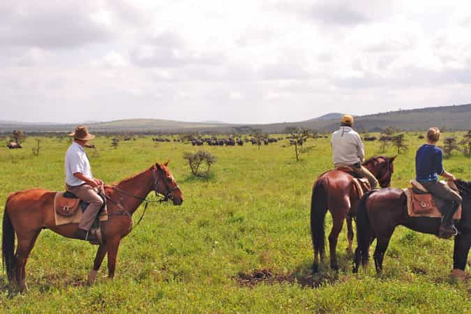 Borana - North Ride