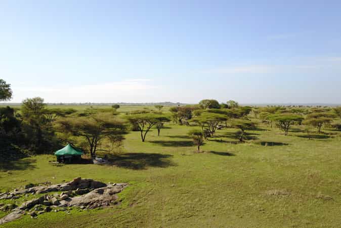 Wayo Tarangire Walking Safari