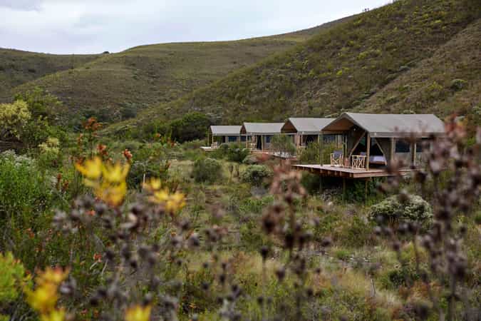 Gondwana Tented Eco Camp