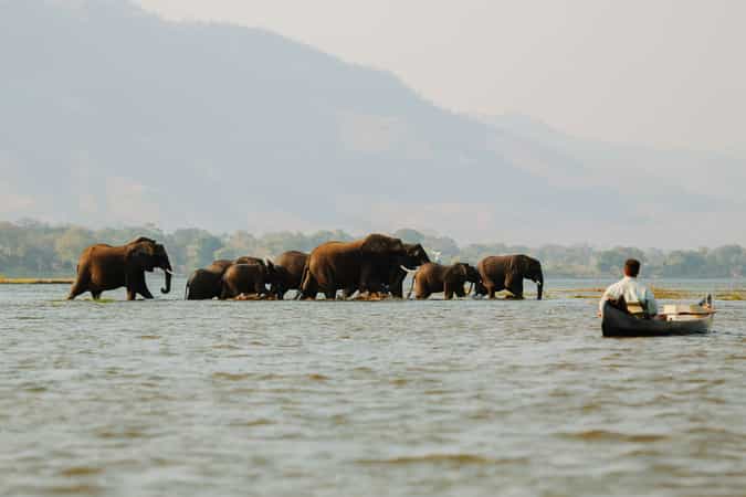 Ruwesi Canoe Trails