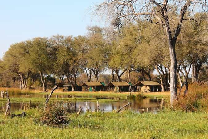 Mobile Safaris