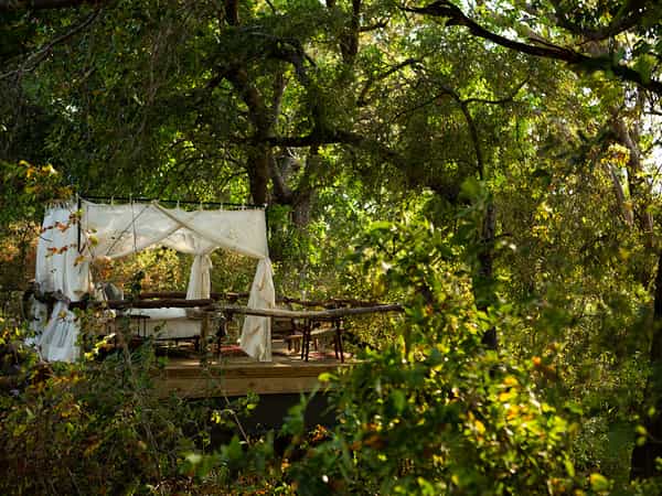 Sapi Springs Camp