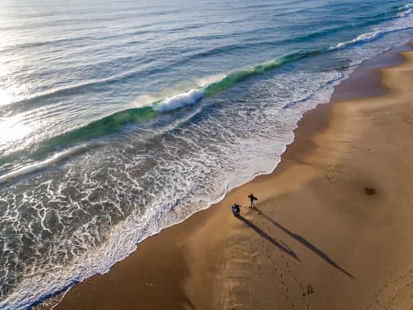 Sava Dunes