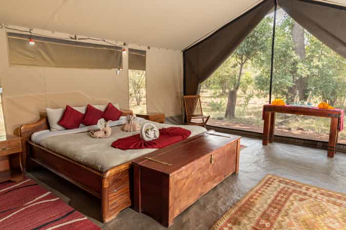 Hammerkop Migration Camp
