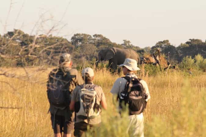 David Foot Walking Safaris