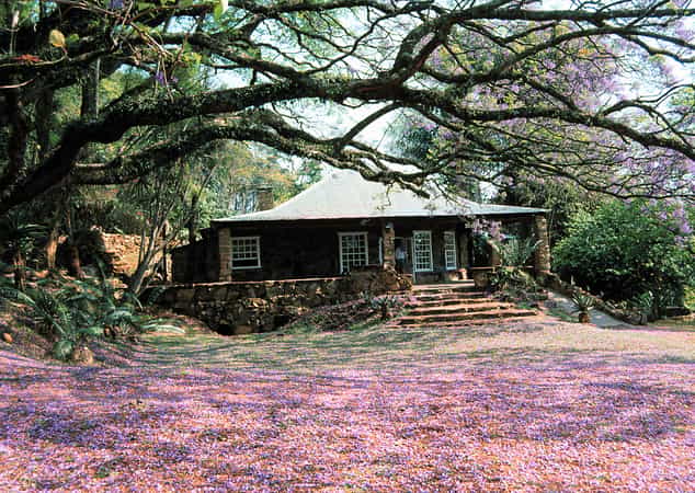 Reilly's Rock Hill Top Lodge