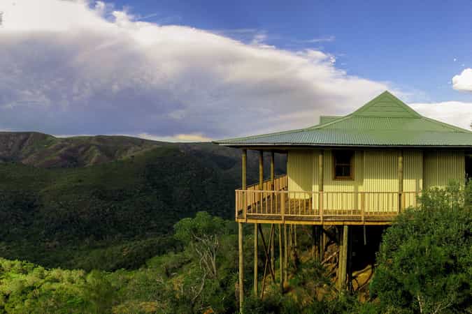 Camp Figtree