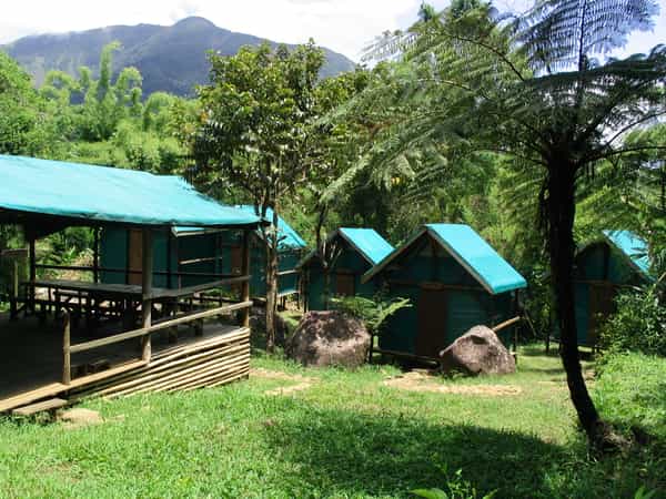Camp Mantella