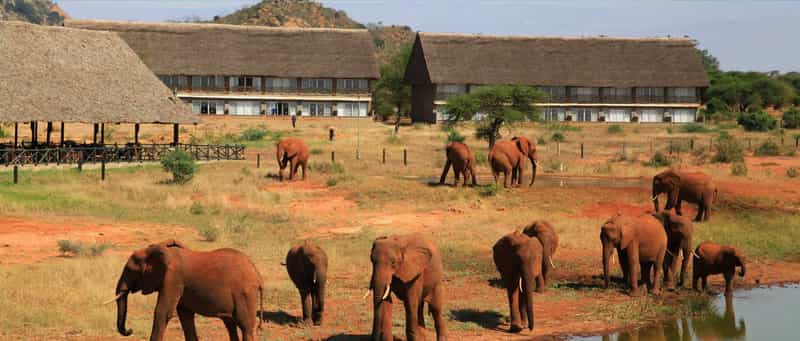 Manyatta Camp