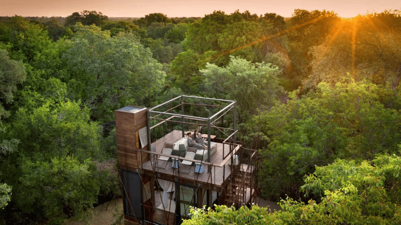 &Beyond Ngala Treehouse